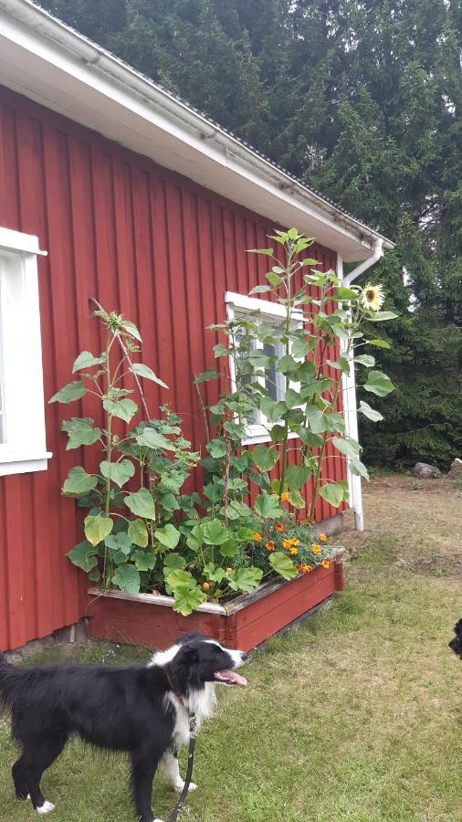 Stuga Asnagard Torsby Exterior foto